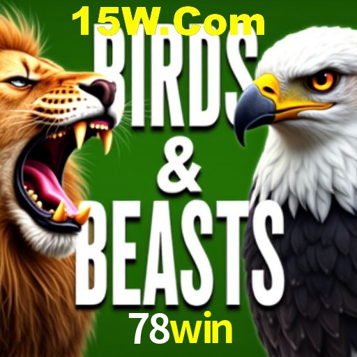Apostas Esportivas na 78win: Um Guia Completo